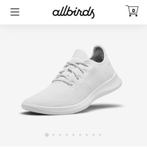 Allbirds Everyday Sneaker- Chalk